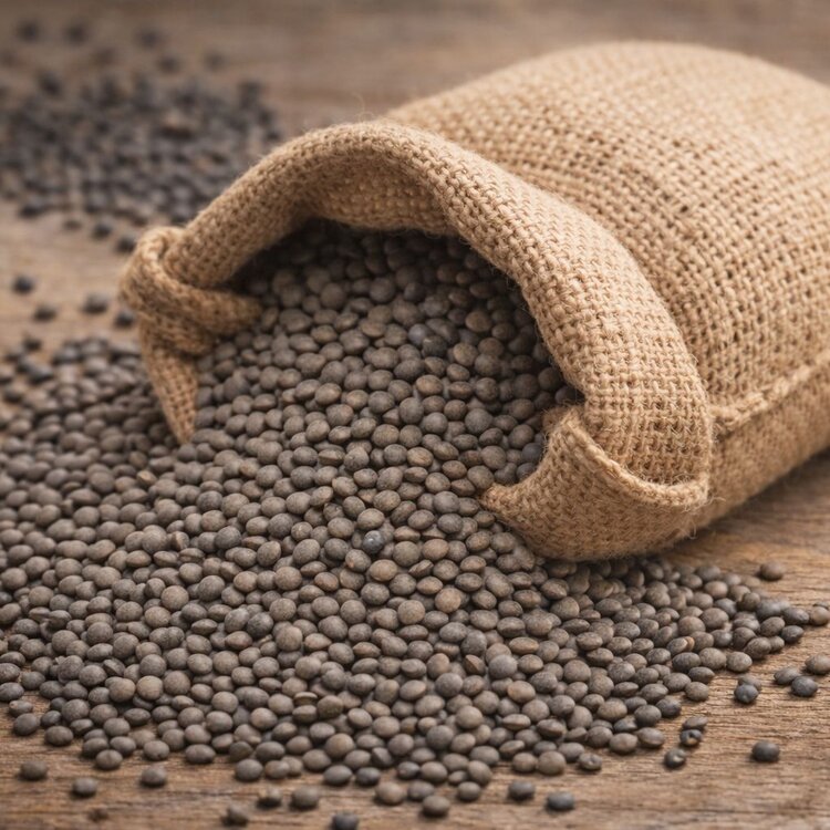 Sacchetto di giuta pieno di lenticchie tipicche abruzzese di Santo Stefano di Sessanio | © Generata da IA