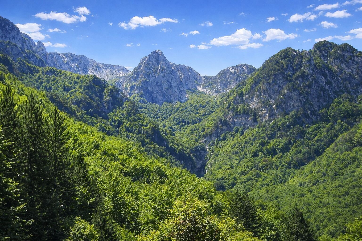 Parco Nazionale d'Abruzzo Lazio e Molise