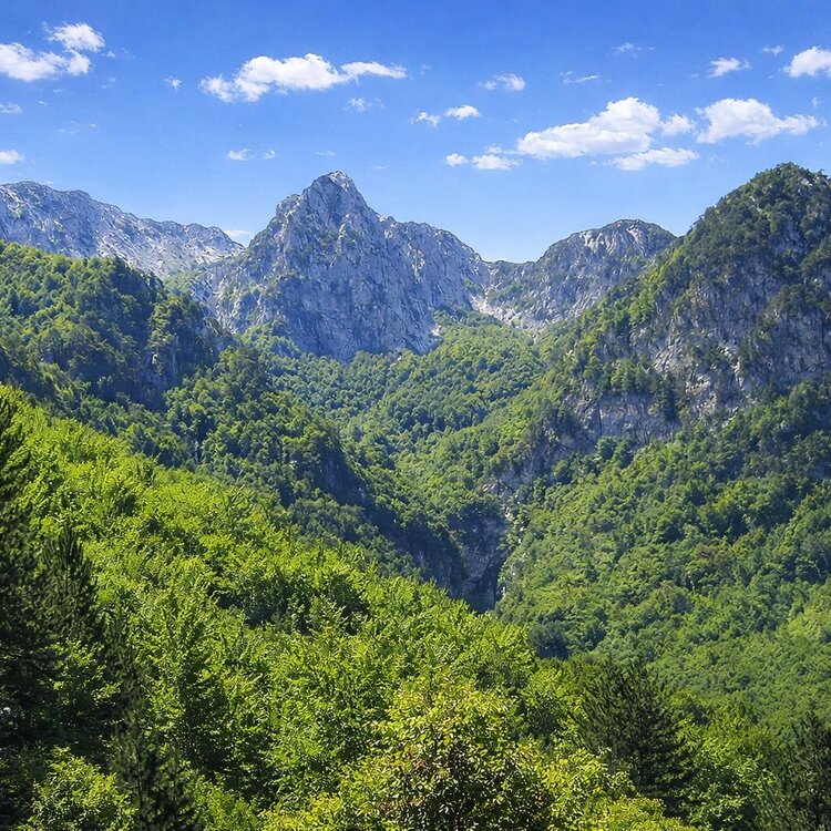 Parco Nazionale d'Abruzzo Lazio e Molise